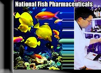 National Fish Pharmaceuticals, Fish Medications - Fish Disease Treatments And Complete Healthcare for Aquarium & Koi Pond Owners Since 1971